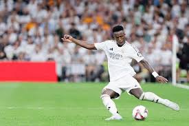 无疑增强了 无疑增强了